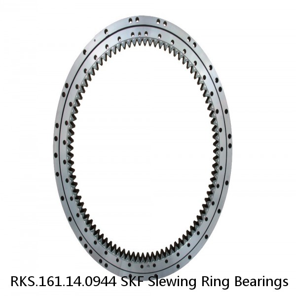 RKS.161.14.0944 SKF Slewing Ring Bearings