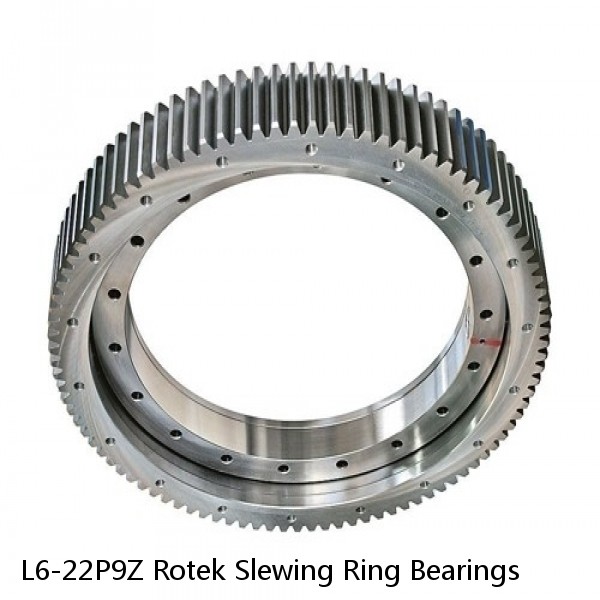 L6-22P9Z Rotek Slewing Ring Bearings