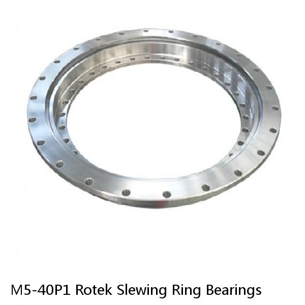 M5-40P1 Rotek Slewing Ring Bearings