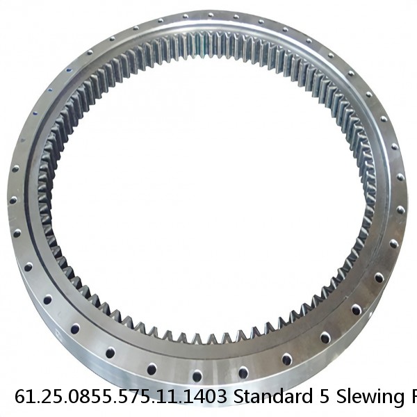 61.25.0855.575.11.1403 Standard 5 Slewing Ring Bearings