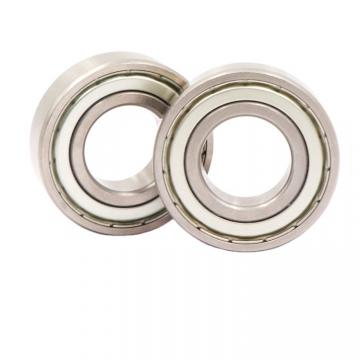 Factory Price Direct Supply SKF 51102 8102 51104 8104 51106 8106 Thrust Ball Bearing in Stock