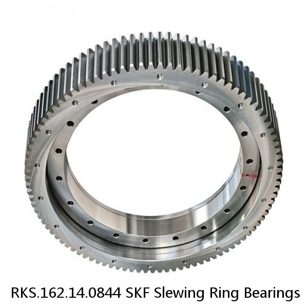 RKS.162.14.0844 SKF Slewing Ring Bearings