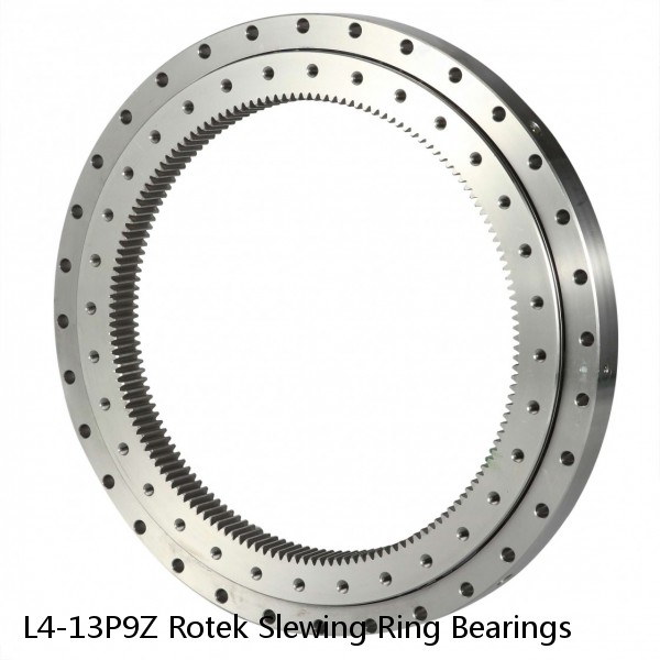 L4-13P9Z Rotek Slewing Ring Bearings #1 small image