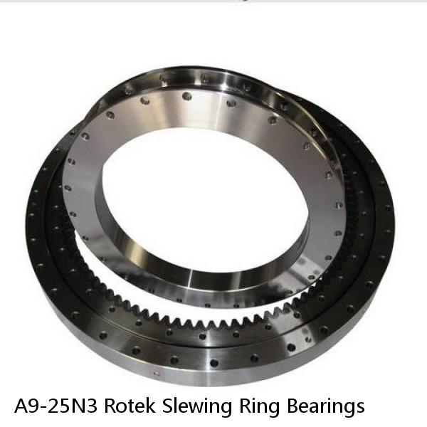 A9-25N3 Rotek Slewing Ring Bearings #1 small image