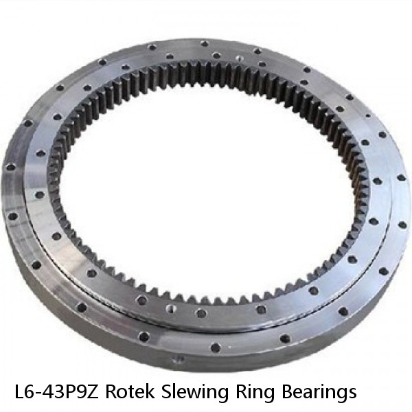 L6-43P9Z Rotek Slewing Ring Bearings #1 small image