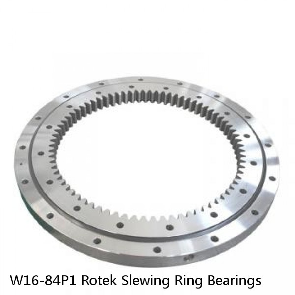 W16-84P1 Rotek Slewing Ring Bearings #1 small image