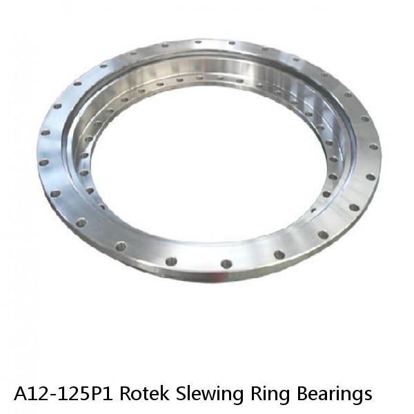 A12-125P1 Rotek Slewing Ring Bearings #1 small image