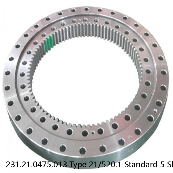 231.21.0475.013 Type 21/520.1 Standard 5 Slewing Ring Bearings