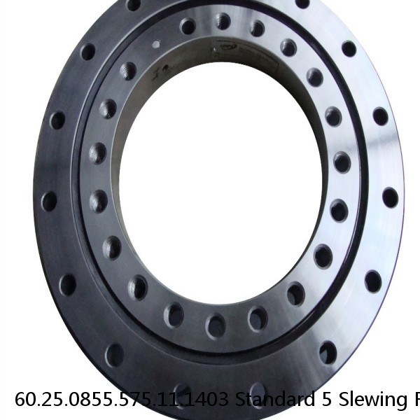 60.25.0855.575.11.1403 Standard 5 Slewing Ring Bearings #1 small image