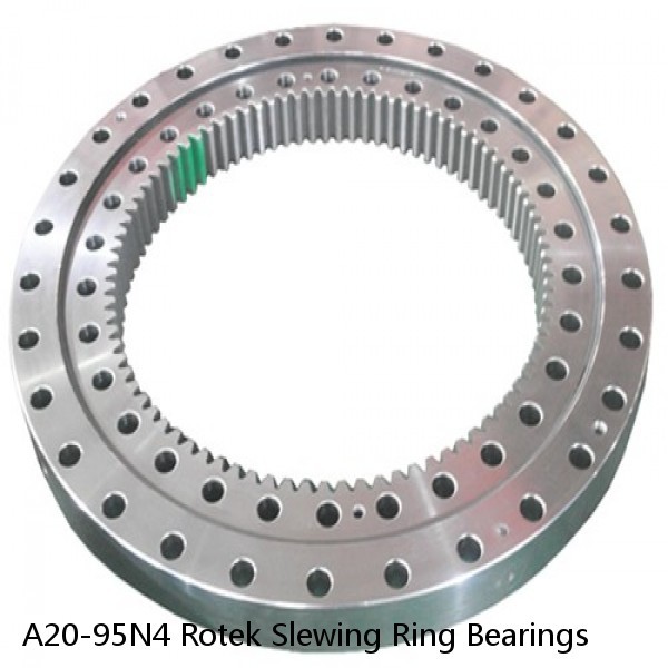 A20-95N4 Rotek Slewing Ring Bearings #1 image