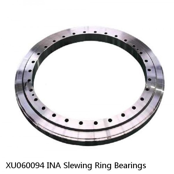 XU060094 INA Slewing Ring Bearings #1 image
