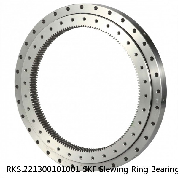 RKS.221300101001 SKF Slewing Ring Bearings #1 image