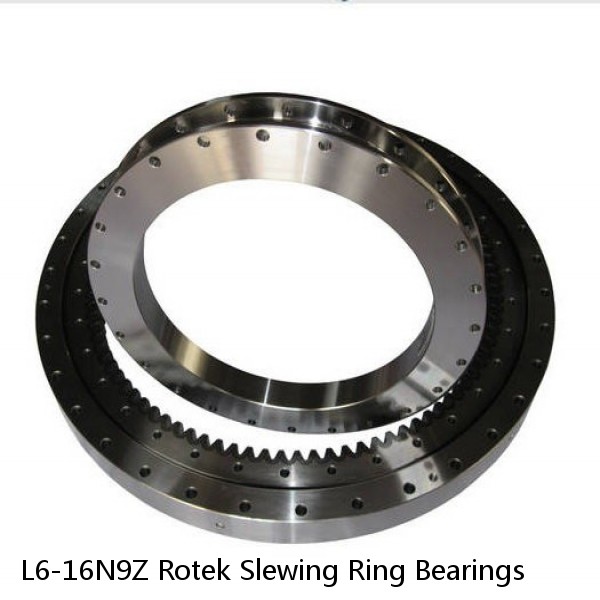 L6-16N9Z Rotek Slewing Ring Bearings #1 image