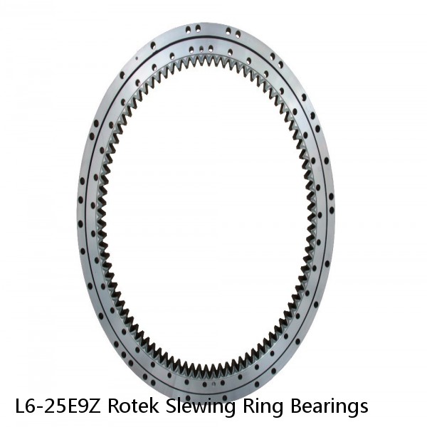 L6-25E9Z Rotek Slewing Ring Bearings #1 image