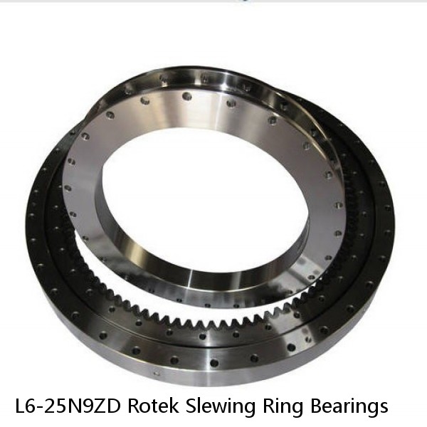 L6-25N9ZD Rotek Slewing Ring Bearings #1 image