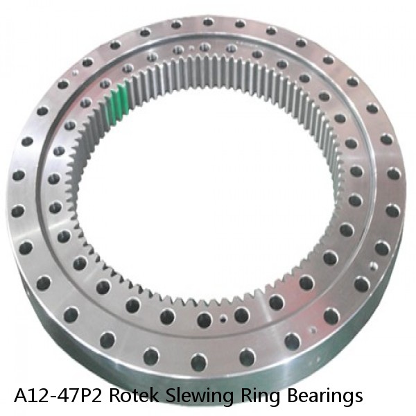 A12-47P2 Rotek Slewing Ring Bearings #1 image