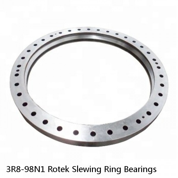 3R8-98N1 Rotek Slewing Ring Bearings #1 image
