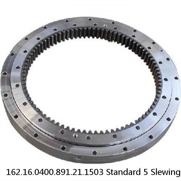 162.16.0400.891.21.1503 Standard 5 Slewing Ring Bearings #1 image