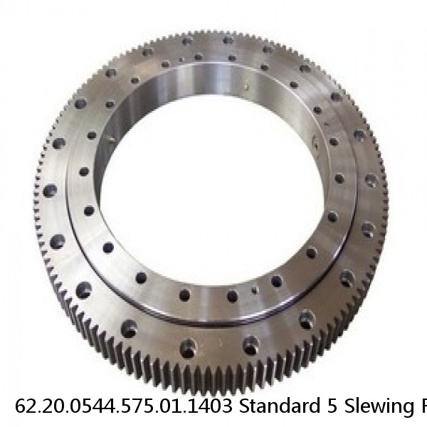 62.20.0544.575.01.1403 Standard 5 Slewing Ring Bearings #1 image