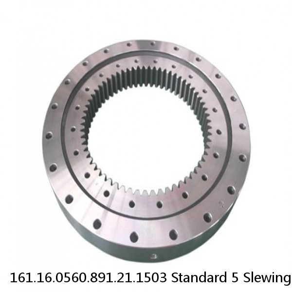 161.16.0560.891.21.1503 Standard 5 Slewing Ring Bearings #1 image