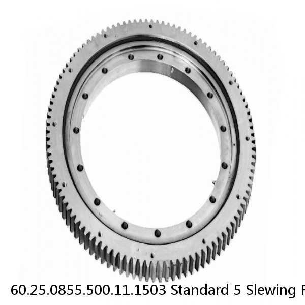 60.25.0855.500.11.1503 Standard 5 Slewing Ring Bearings #1 image