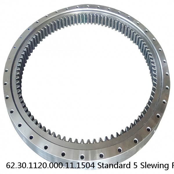 62.30.1120.000.11.1504 Standard 5 Slewing Ring Bearings #1 image